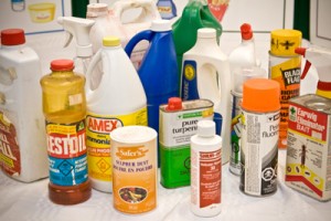 Poisonous Household Items