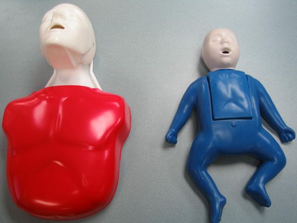 Adult and pediatric training mannequins